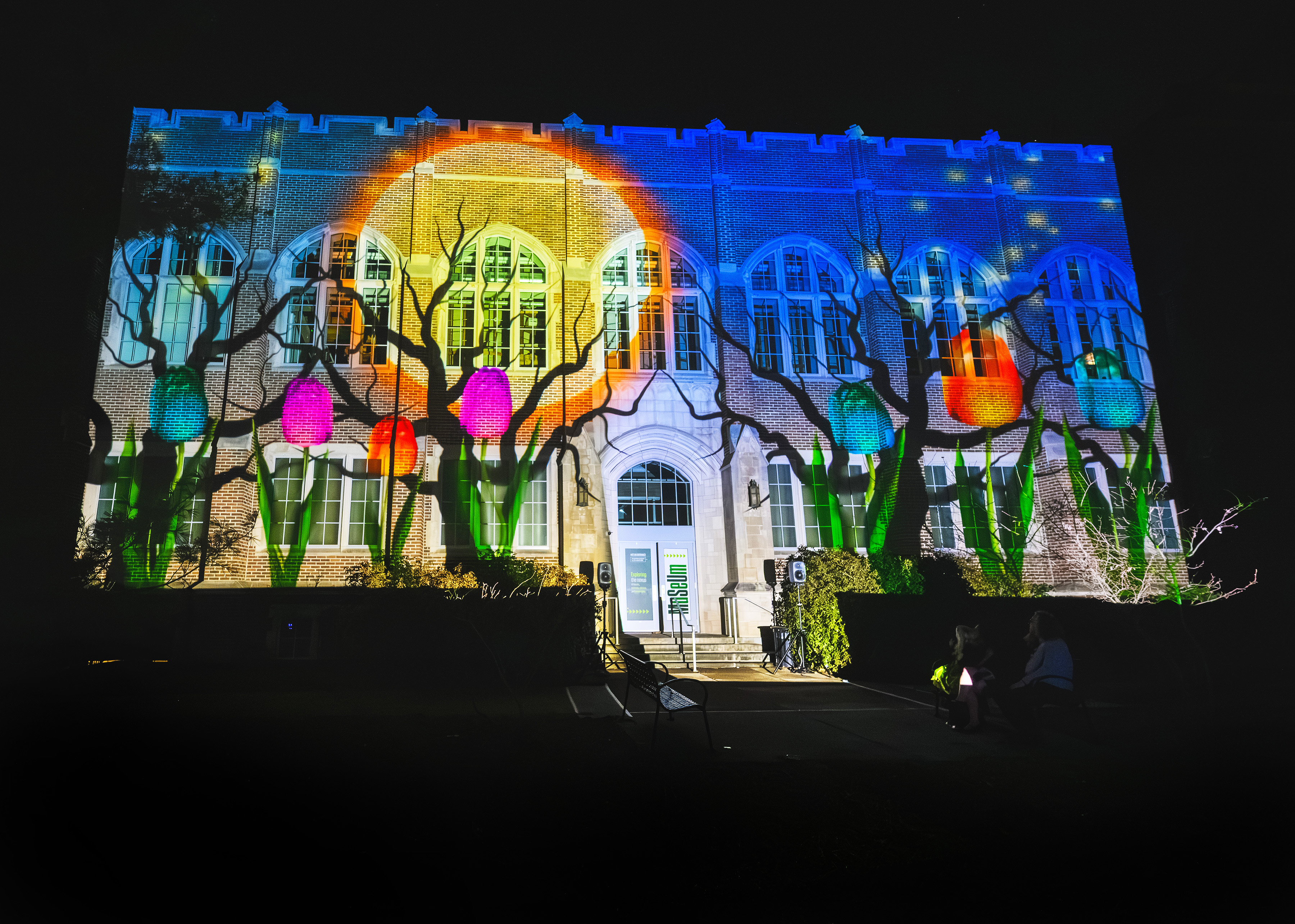 Building Projections. Photo Courtesy of the MSU Museum