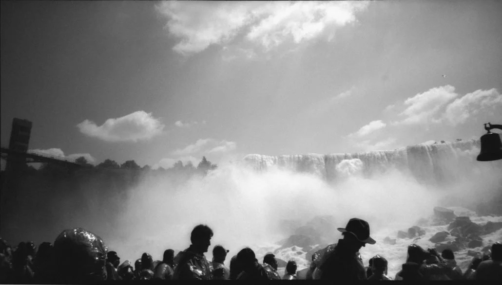 Mist - Ellen Phelan