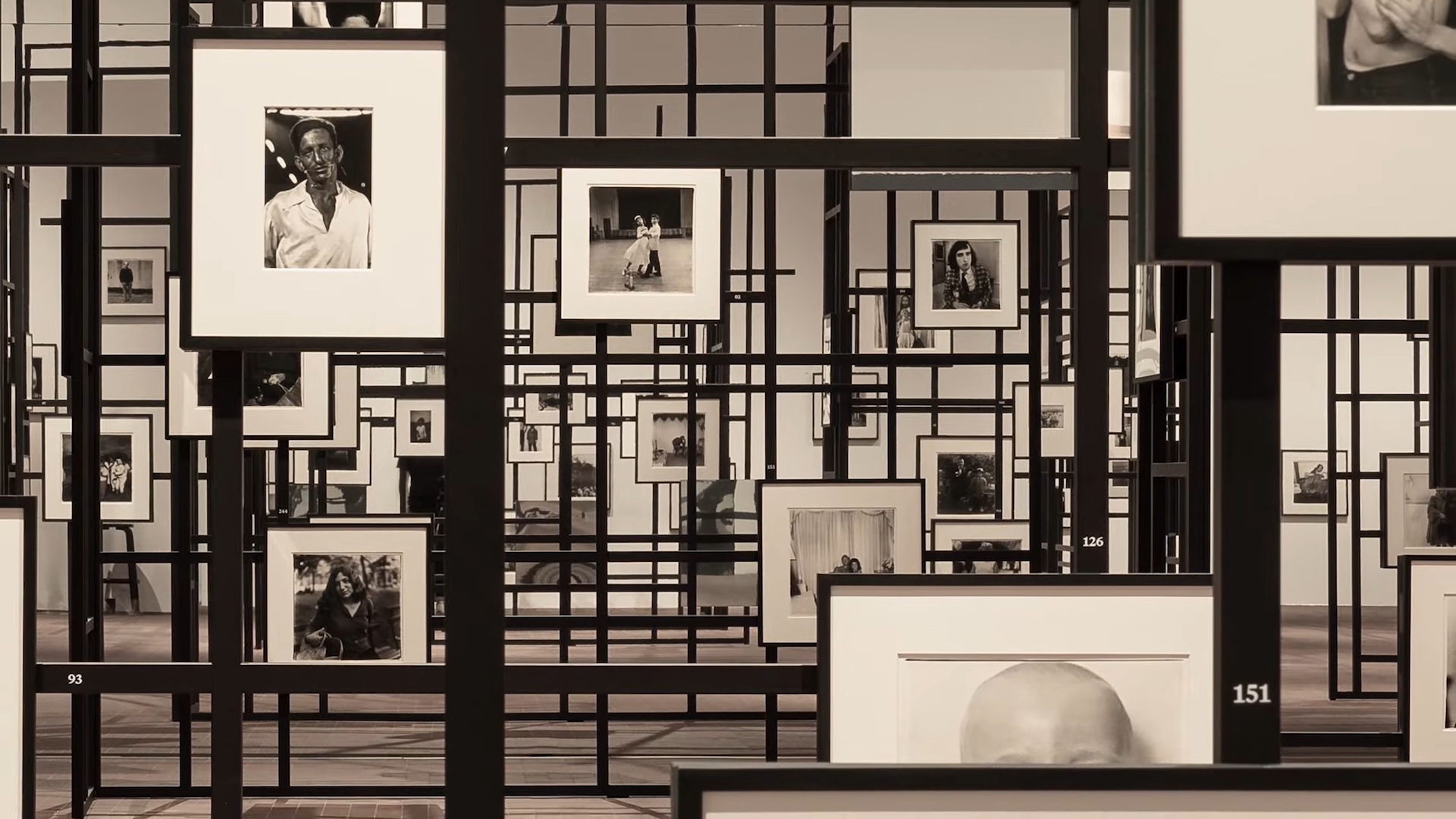 Constellation - Diane Arbus