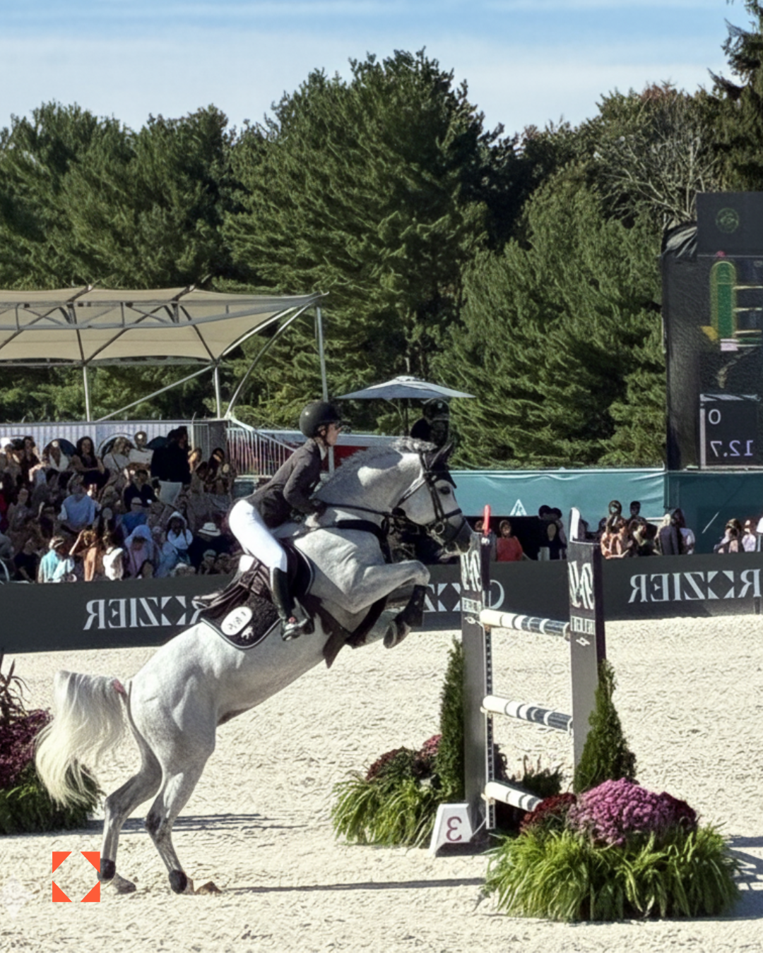 Horse and rider jumping the obstacle on the course