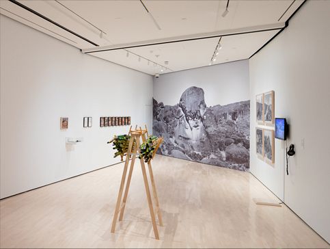 Installation view at the Eli and Edythe Broad Art Museum at Michigan State University, East Lansing, 2020. Photo: Eat Pomegranate Photography. Courtesy of MSU Broad and ICI.
