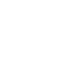 Map icon